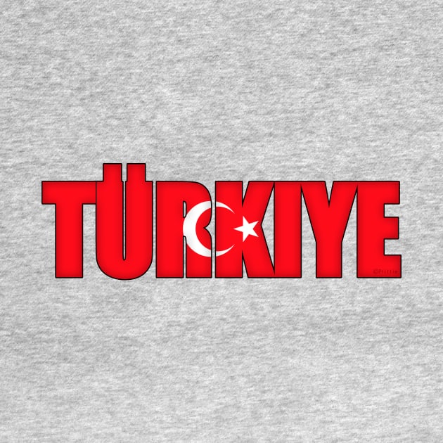 Turkey by SeattleDesignCompany